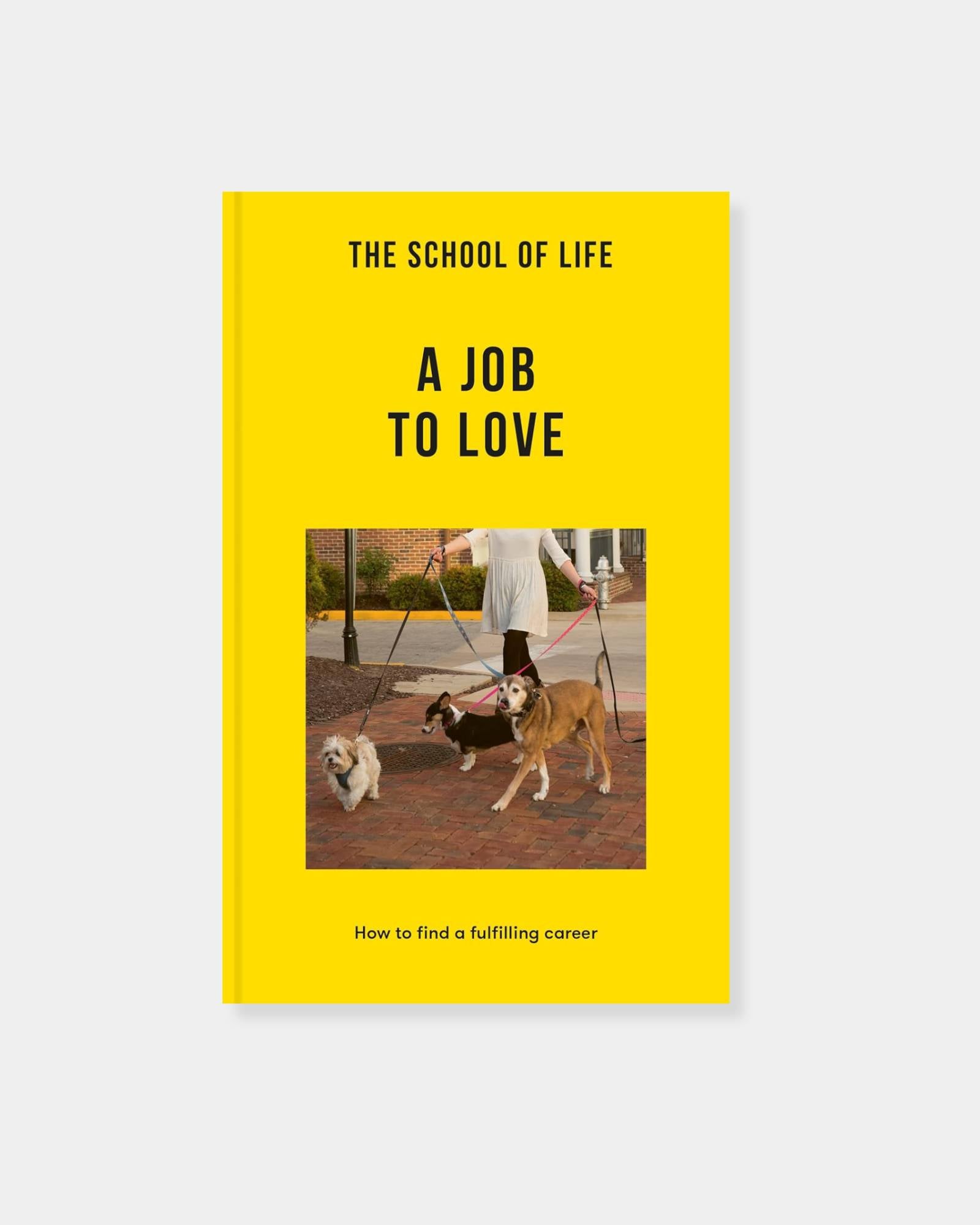 SCHOOL OF LIFE: A JOB TO LOVE