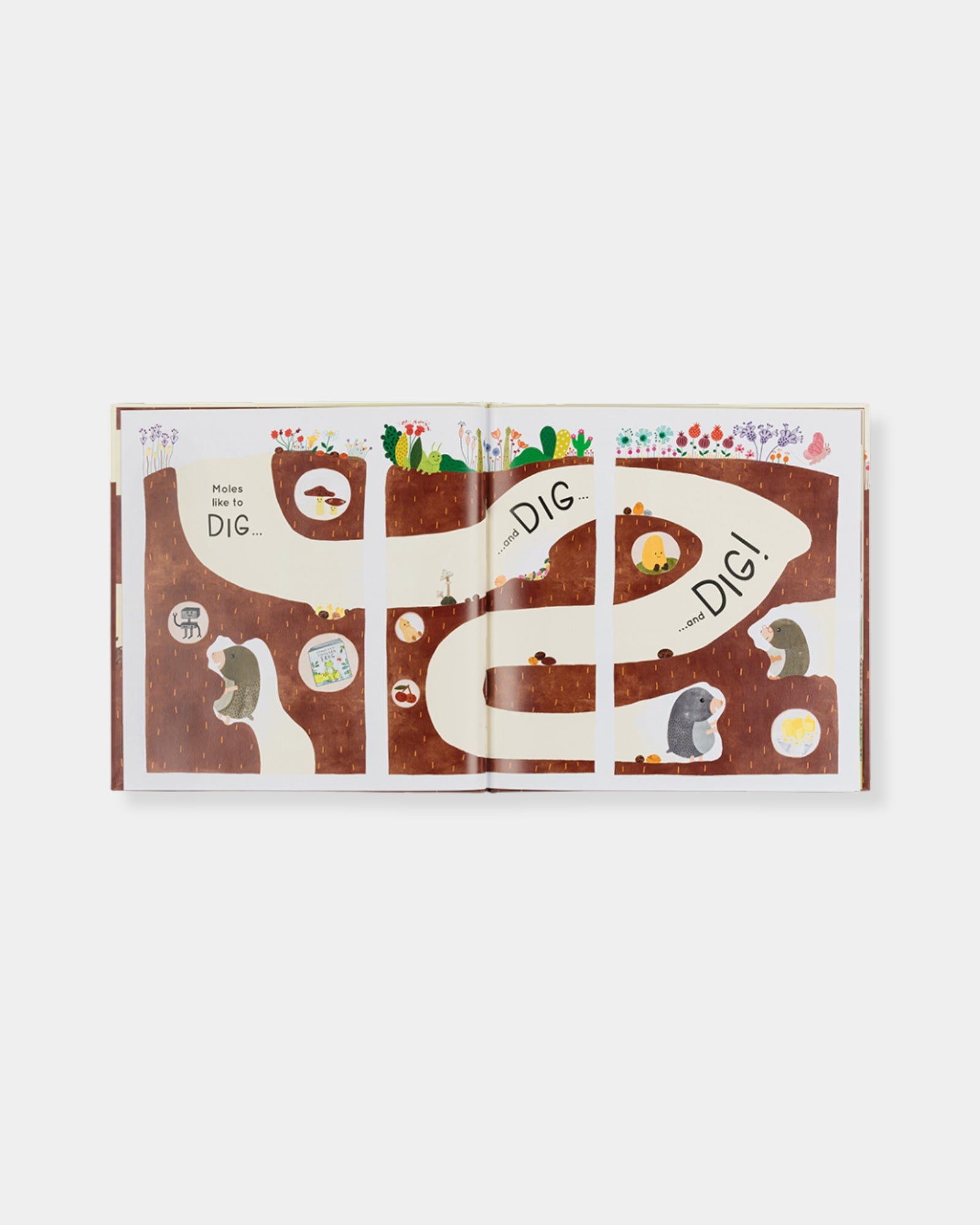 MUSWELL MOLE AND THE BURIED TREASURE - BOOK