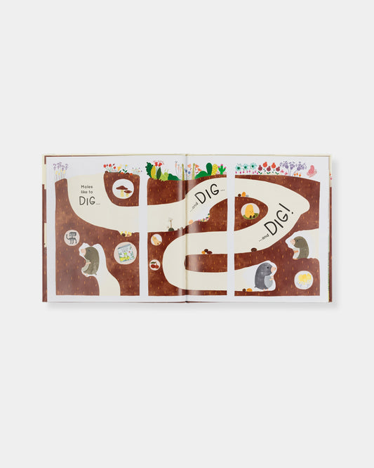 MUSWELL MOLE AND THE BURIED TREASURE - BOOK