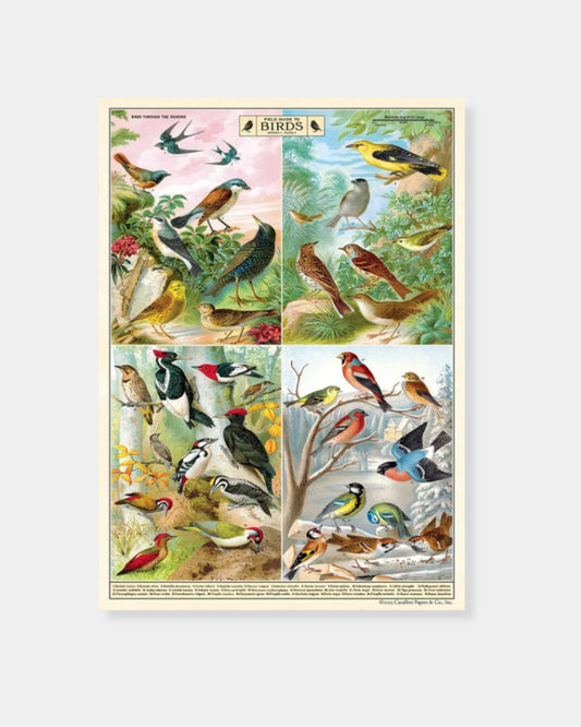 FIELD GUIDE TO BIRDS - POSTER