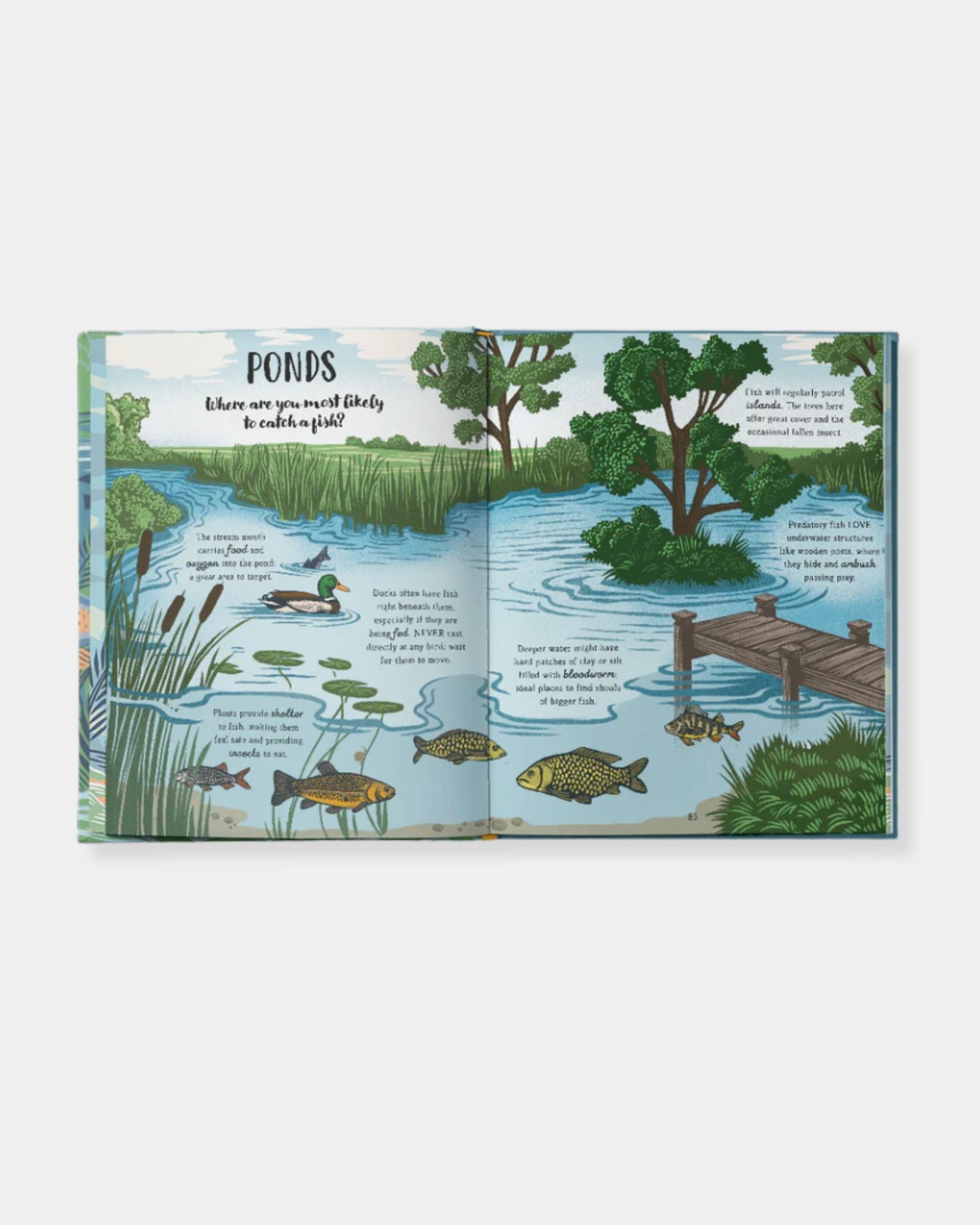 MY FIRST DAY FISHING BOOK