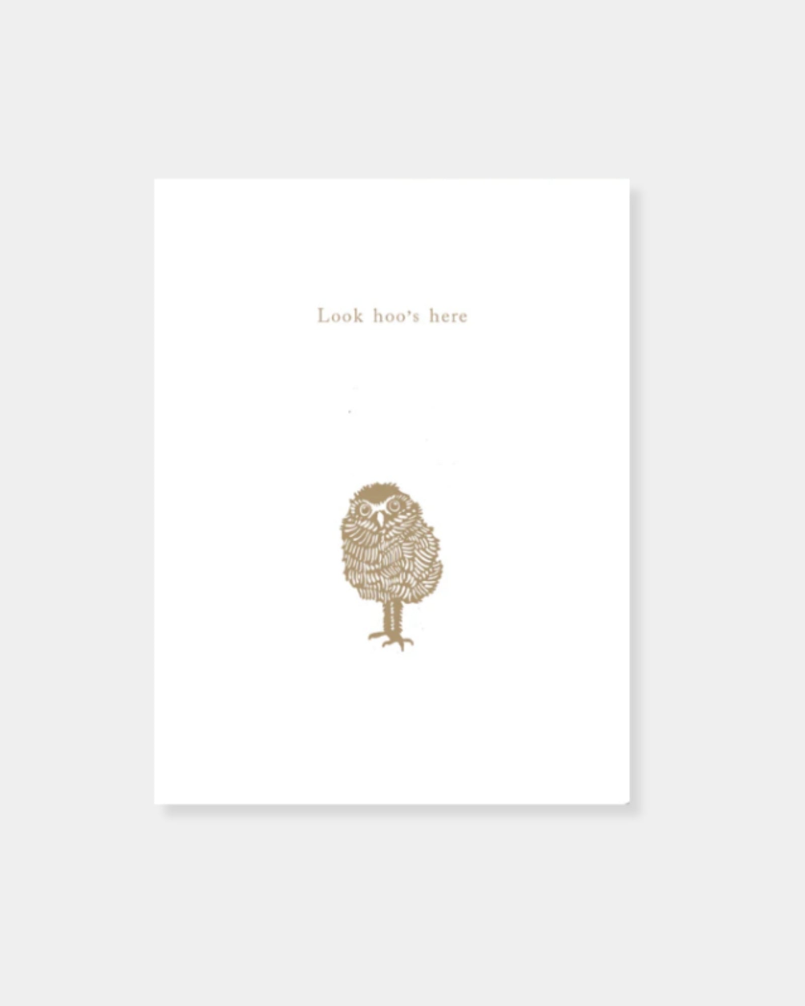 BURROWING OWLET - CARD