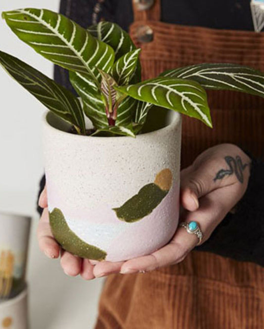 MOJAVE 3.75" - POT