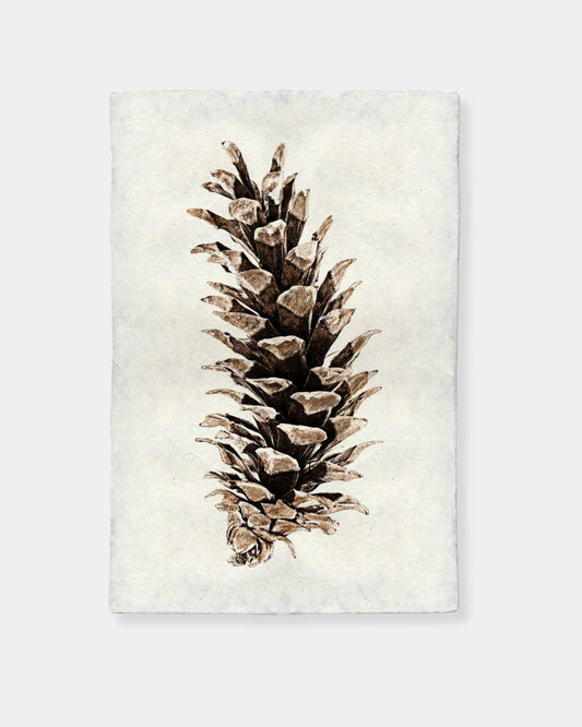 WESTERN WHITE PINE - PRINT