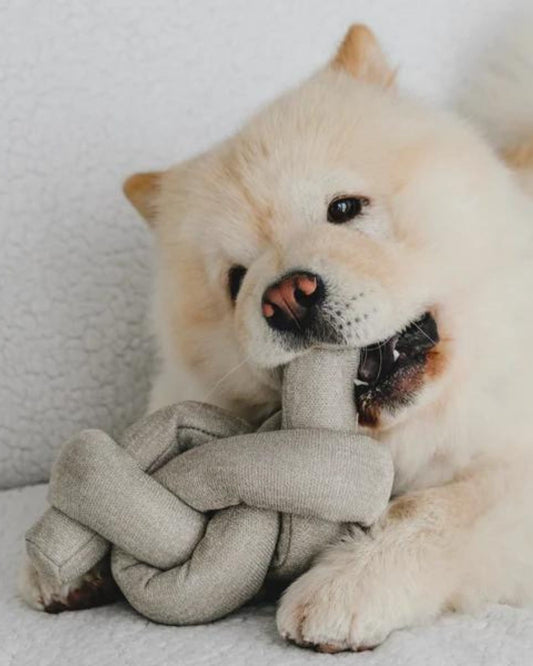 NOU TAN - PET TOY