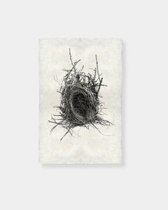 NEST STUDY #12 - PRINT