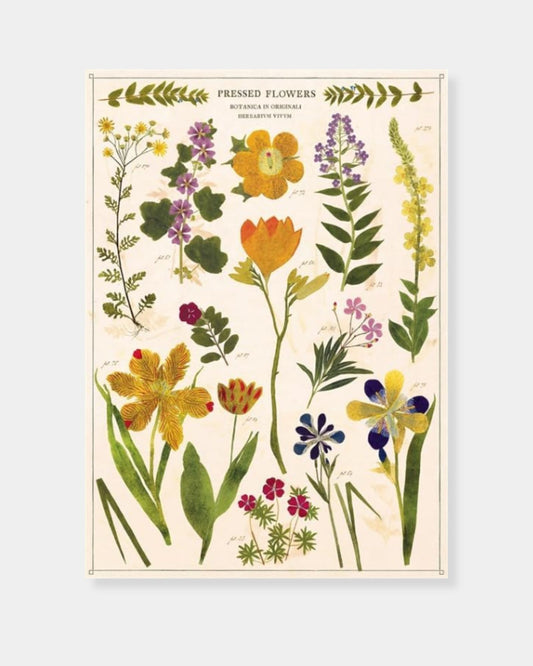 PRESSED FLOWERS - POSTER