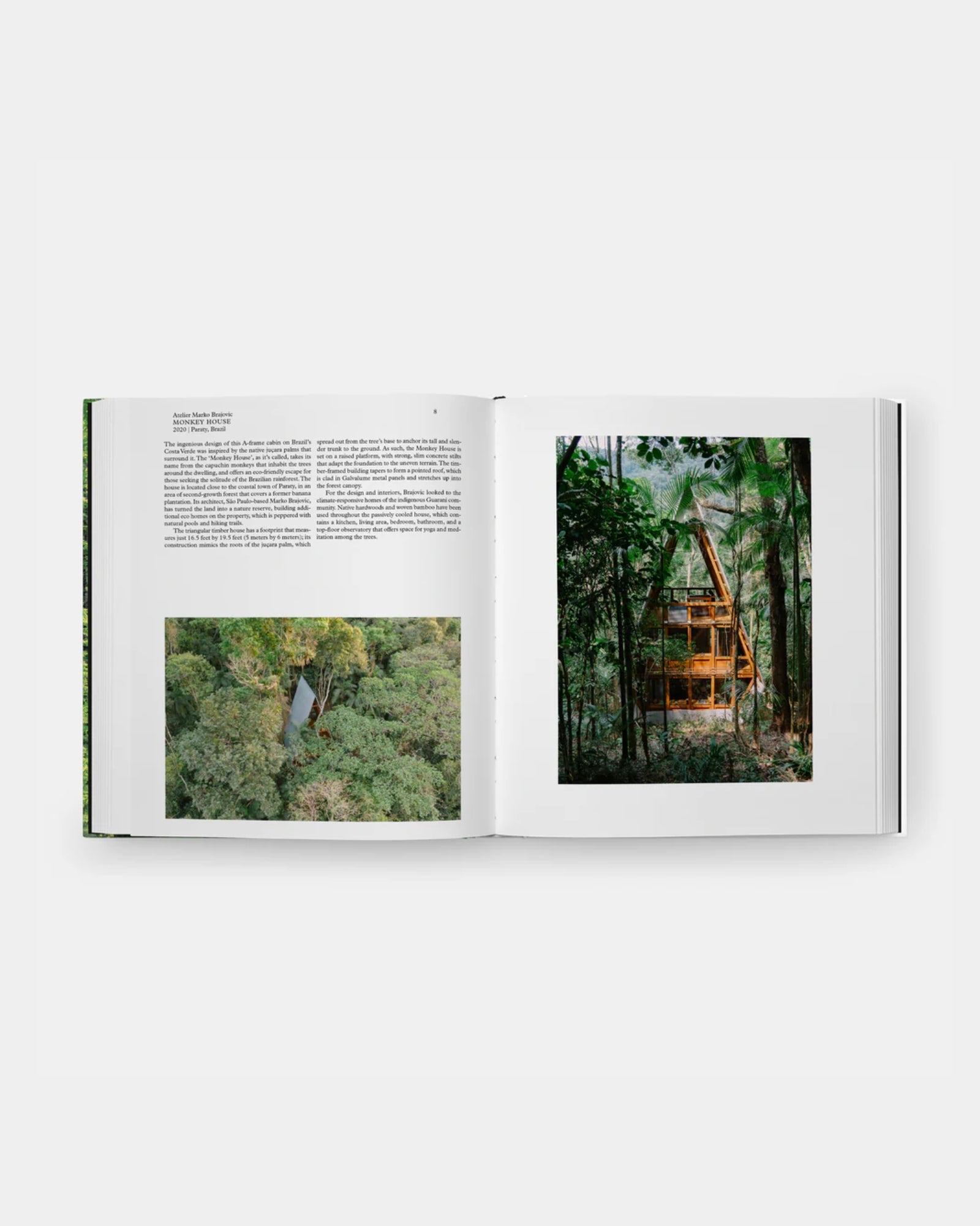 LIVING IN THE FOREST BOOK