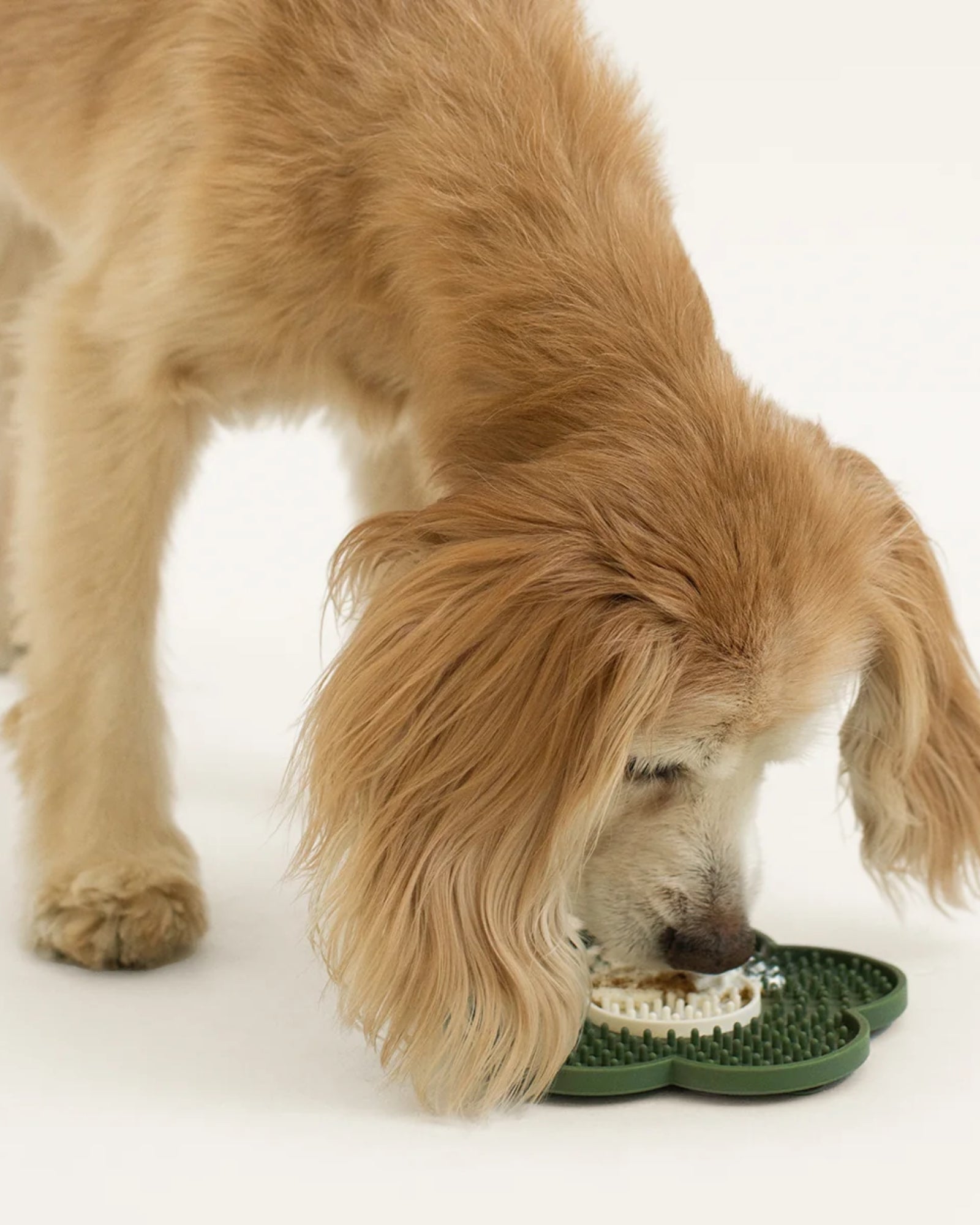 LICK MAT