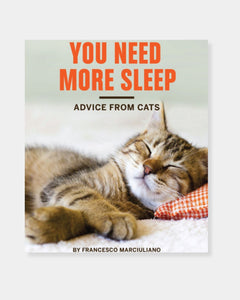 YOU NEED MORE SLEEP - BOOK