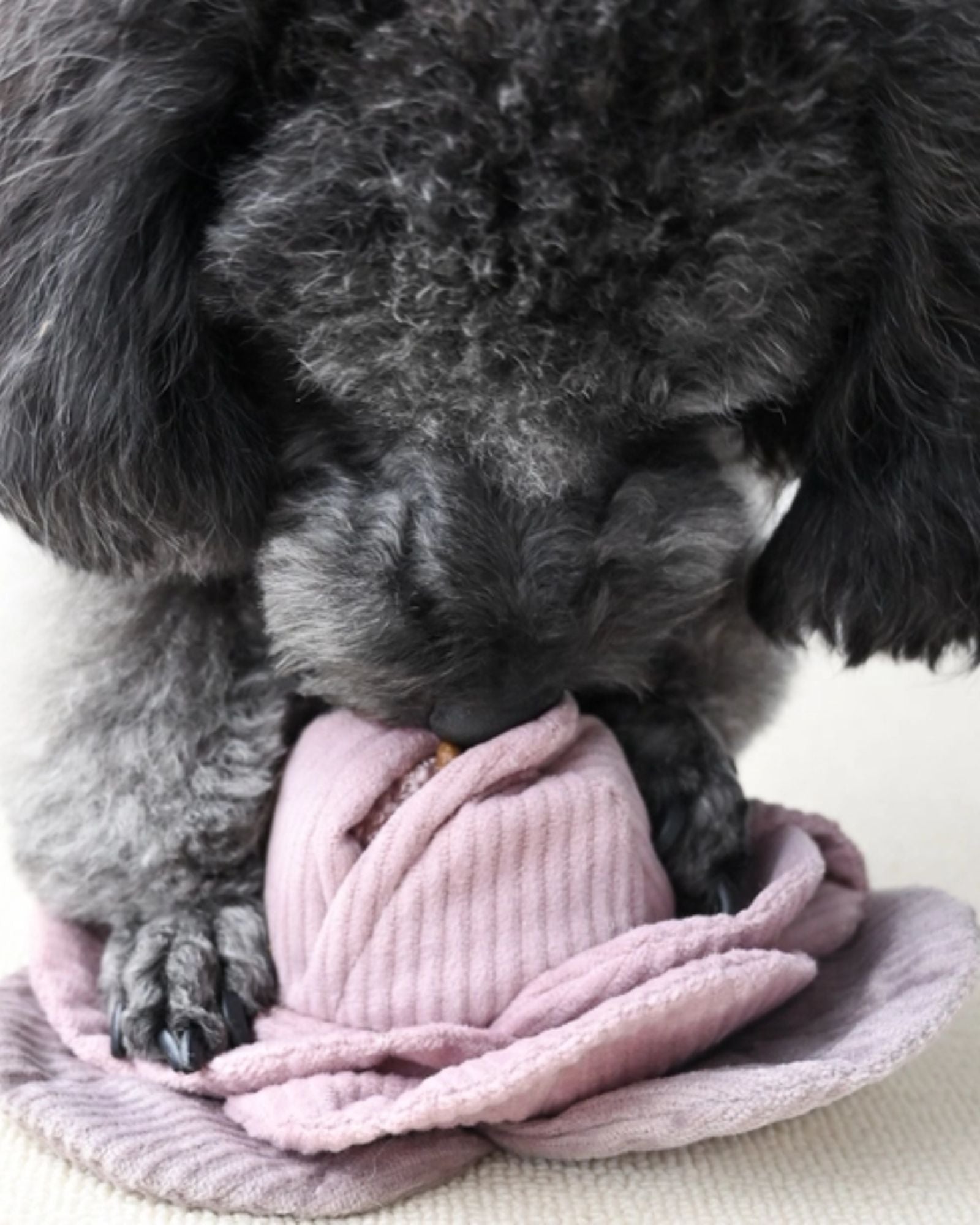 RED CABBAGE POP - PET TOY