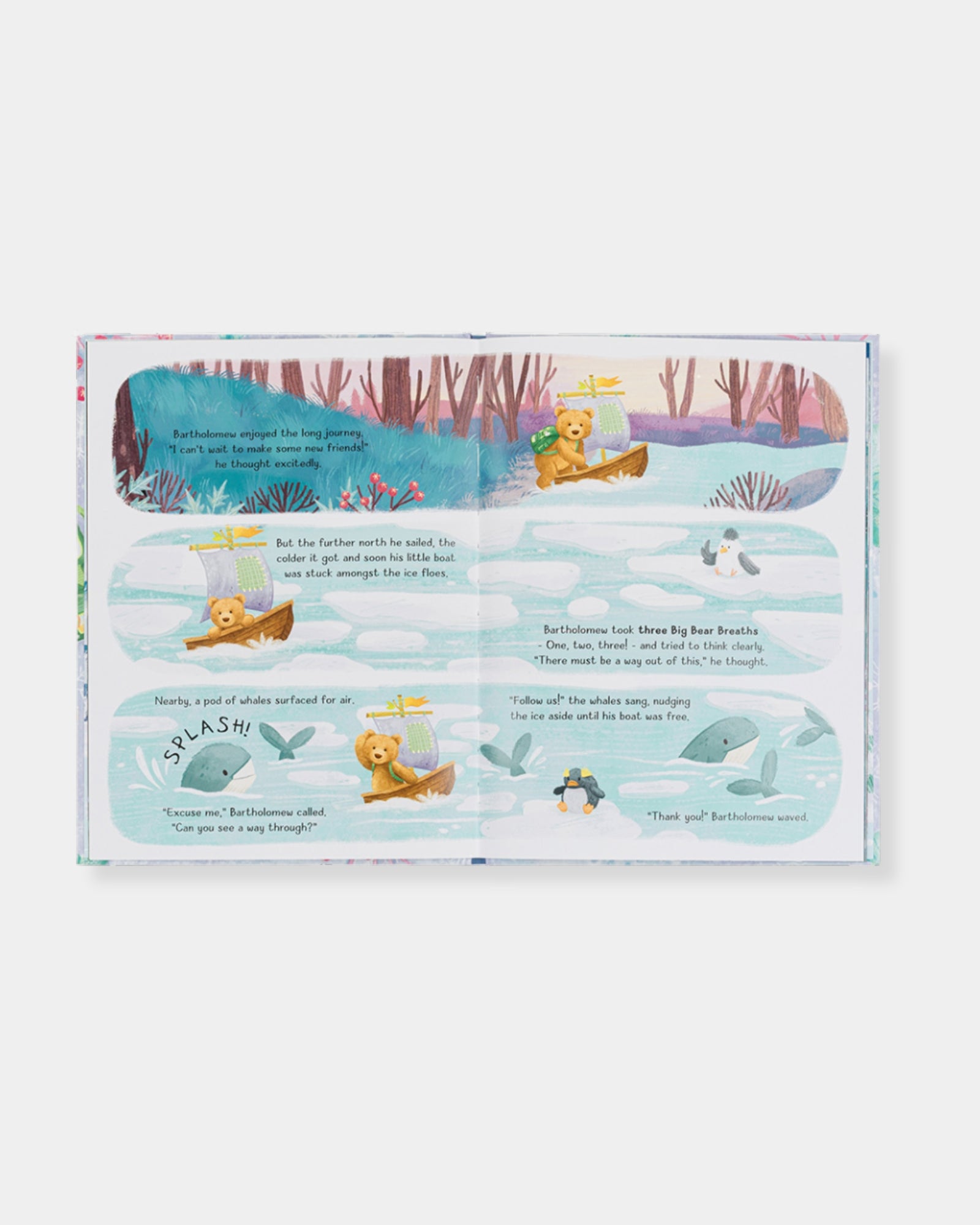 BARTHOLOMEW BEAR AND THE SNOW GIANTS BOOK