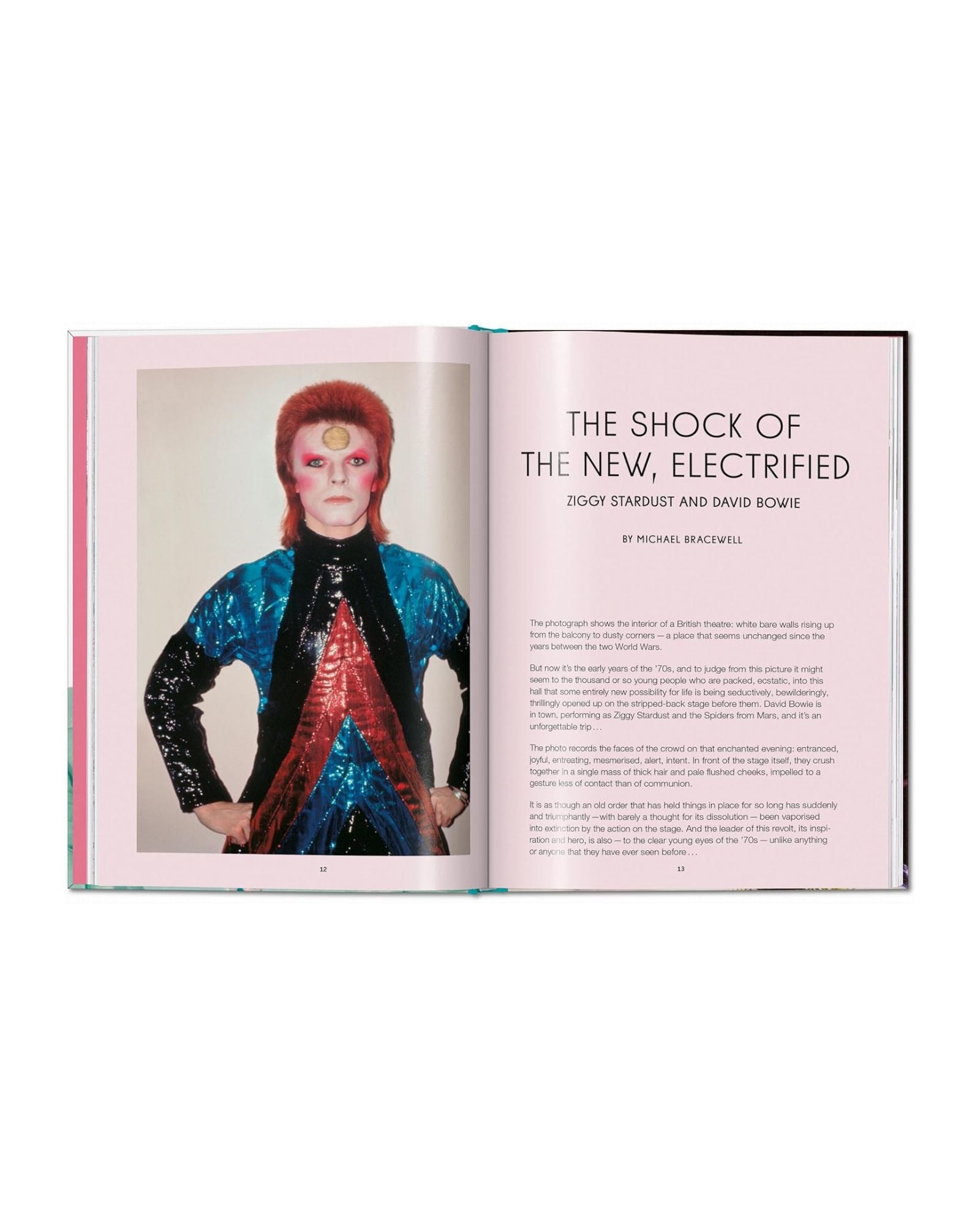 THE RISE OF DAVID BOWIE - BOOK