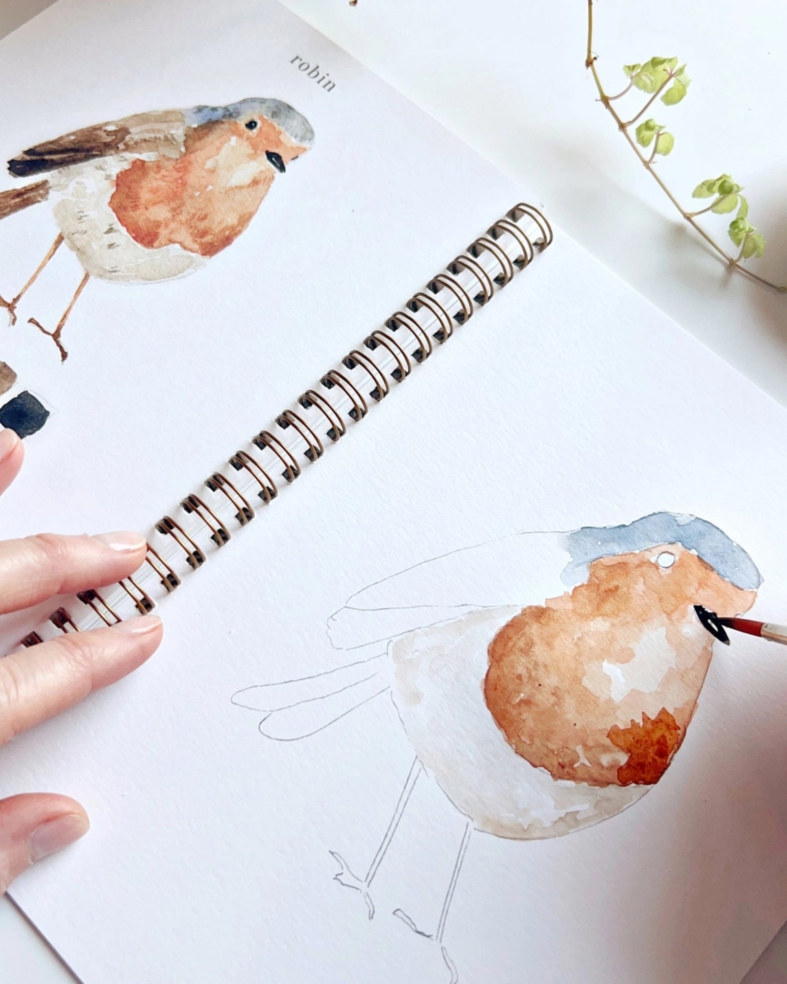 BIRDS WATERCOLOUR WORKBOOK
