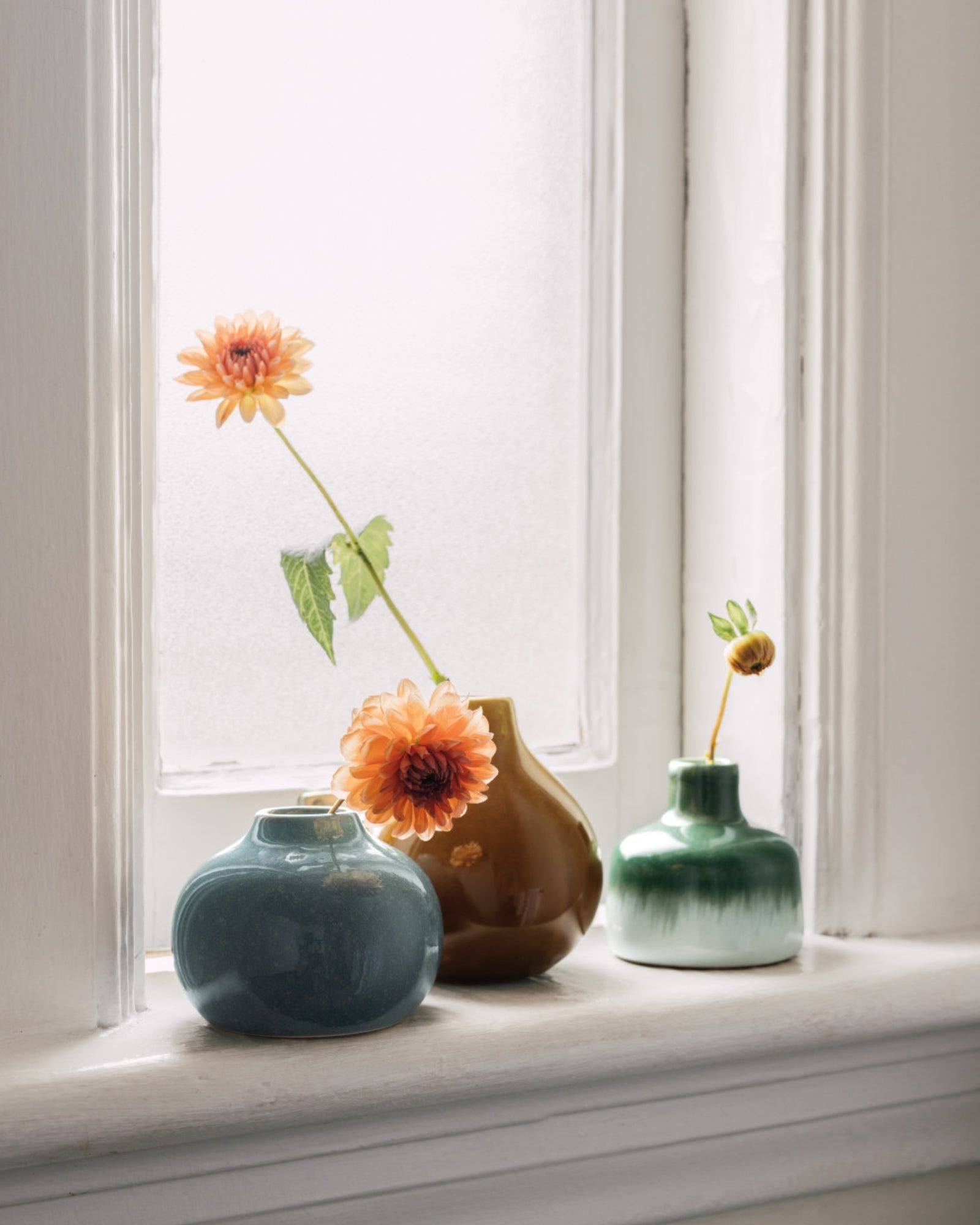 COVE BUD VASE