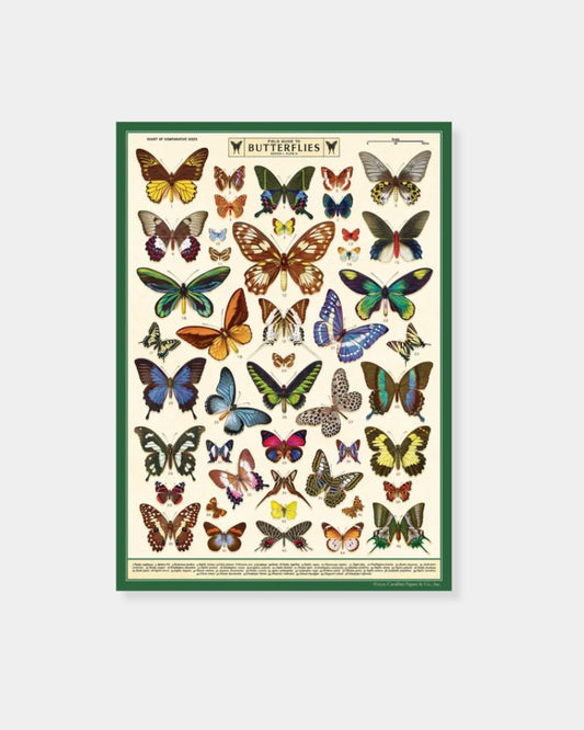 FIELD GUIDE TO BUTTERFLIES - POSTER