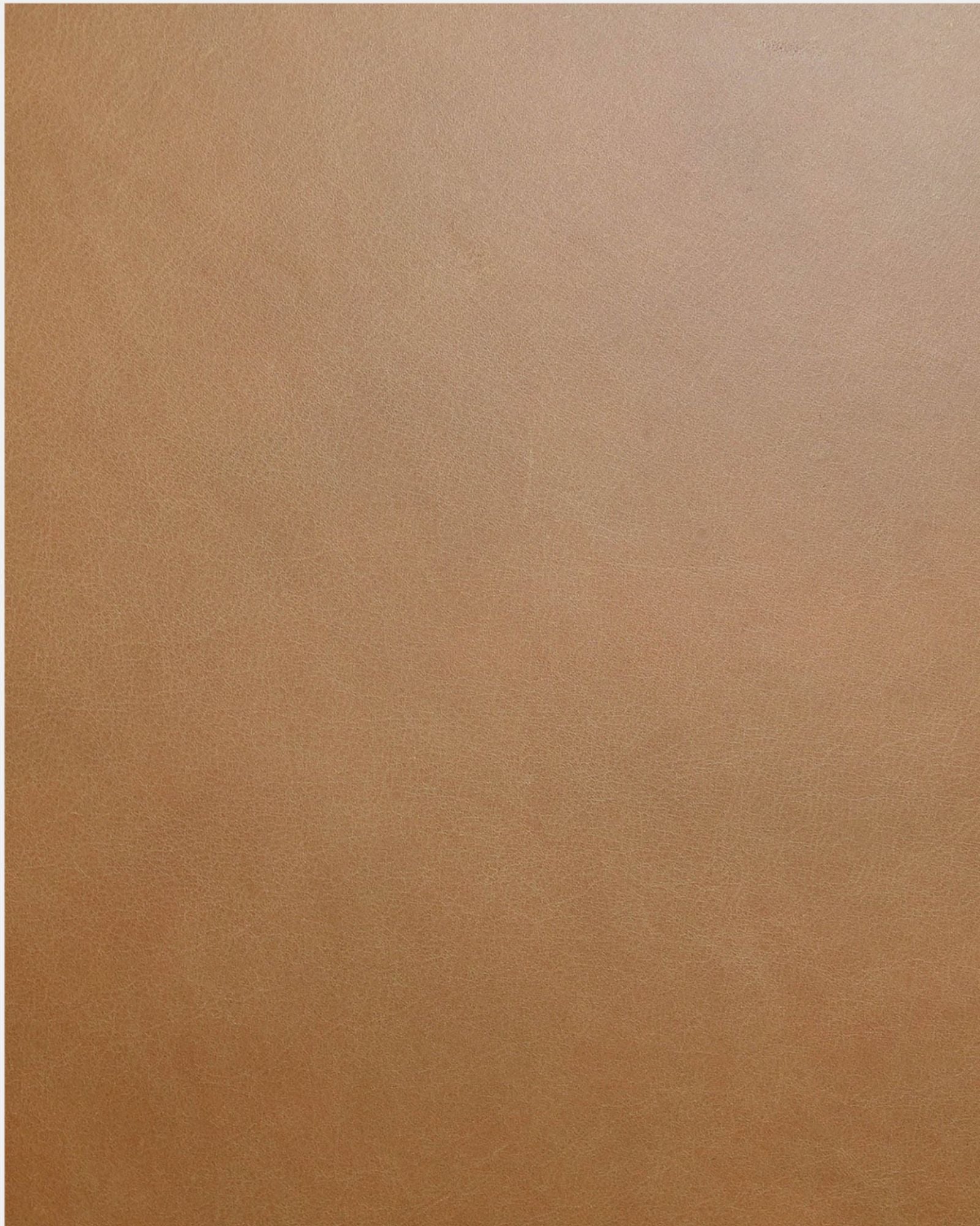 DAKOTA CHAIR TAN - SET OF 2