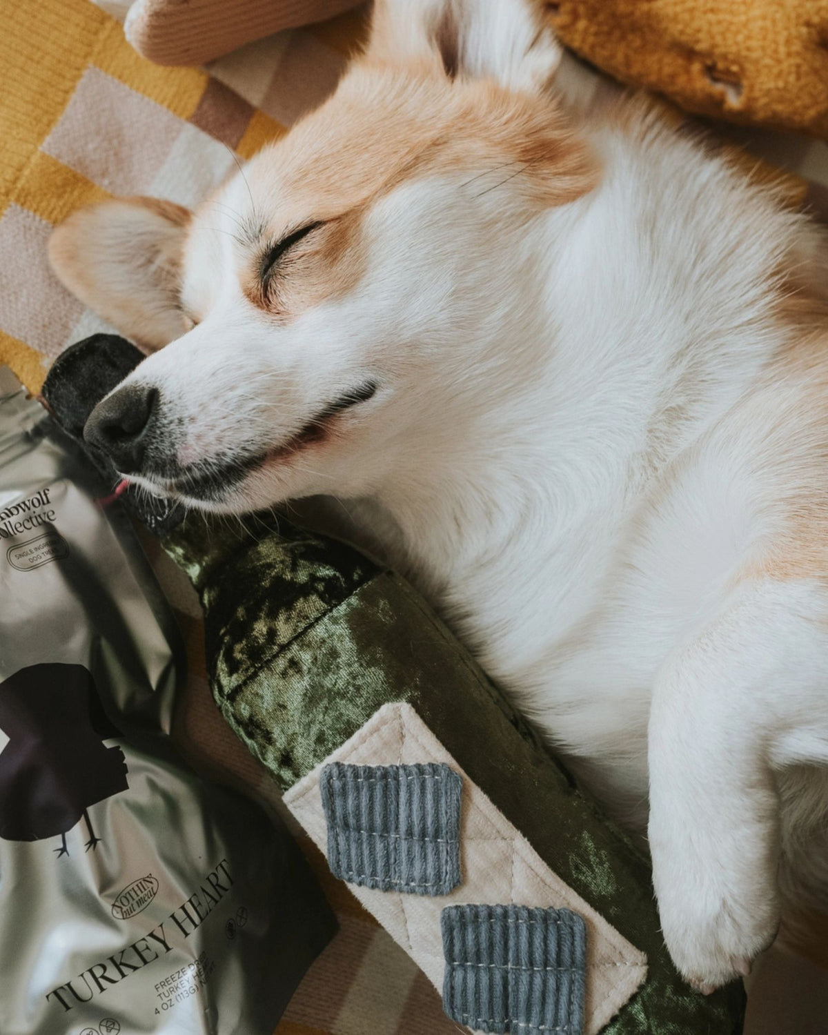 MERLOT - PET TOY