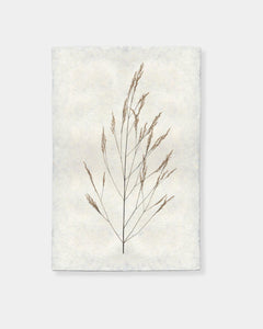 WHEAT FORM - PRINT