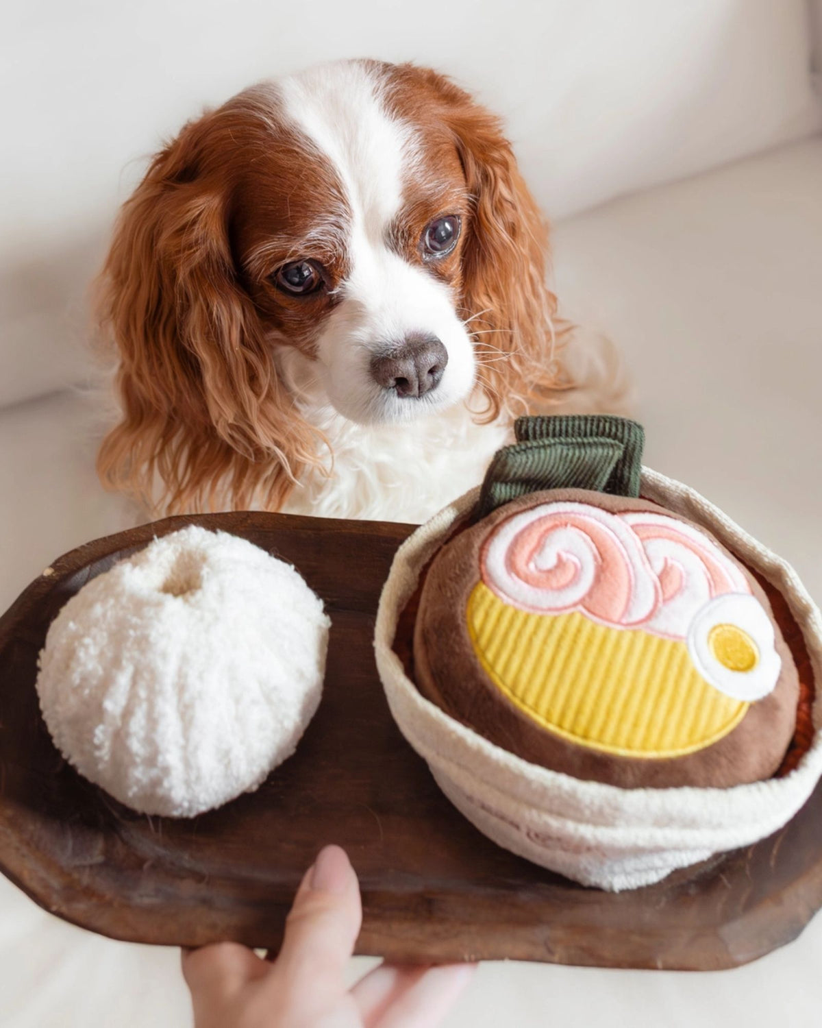 RAMEN ENRICHMENT SQUAKY SNUFFLE - PET TOY