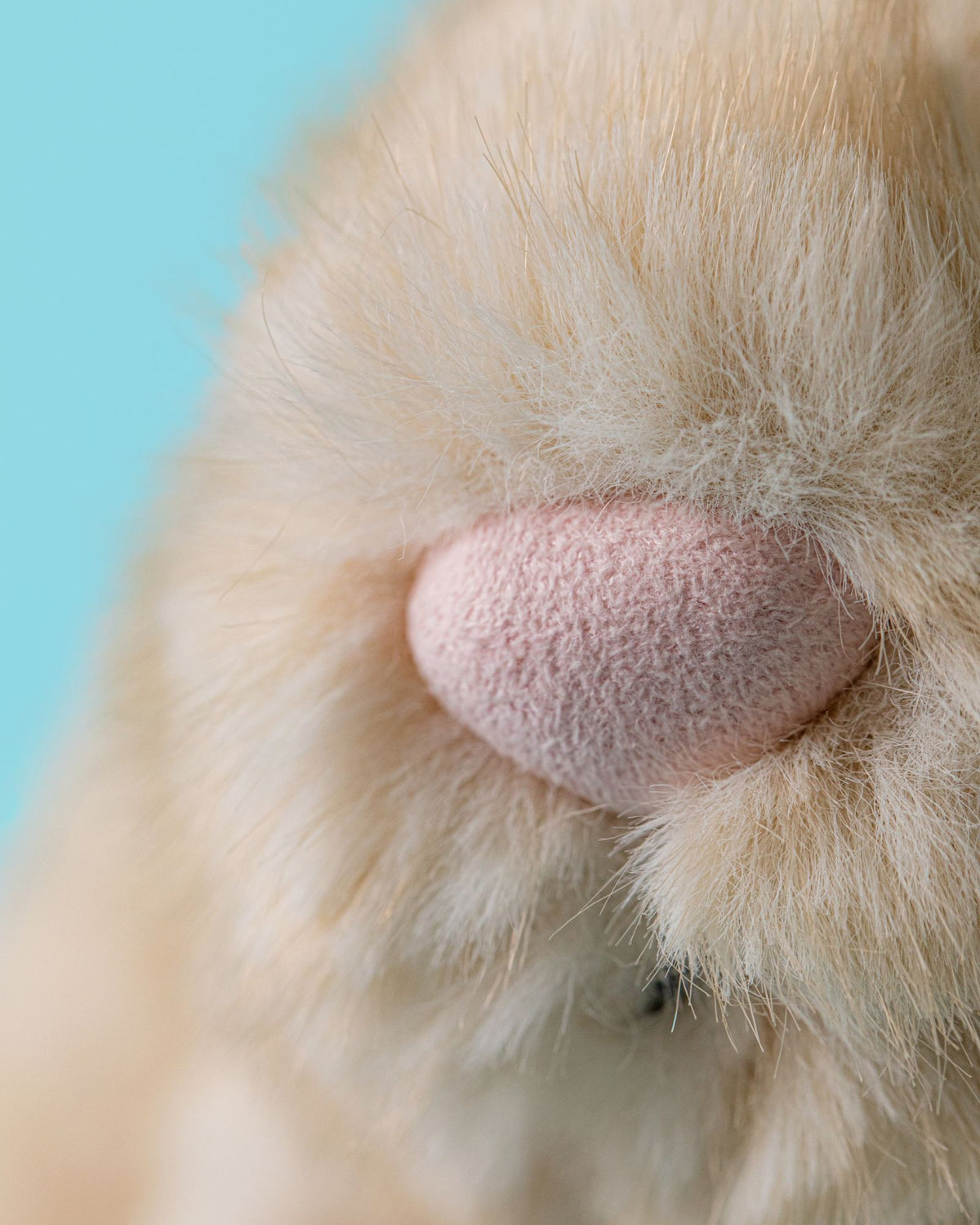 FRANILLA LUXE BUNNY ORIGINAL - PLUSH TOY