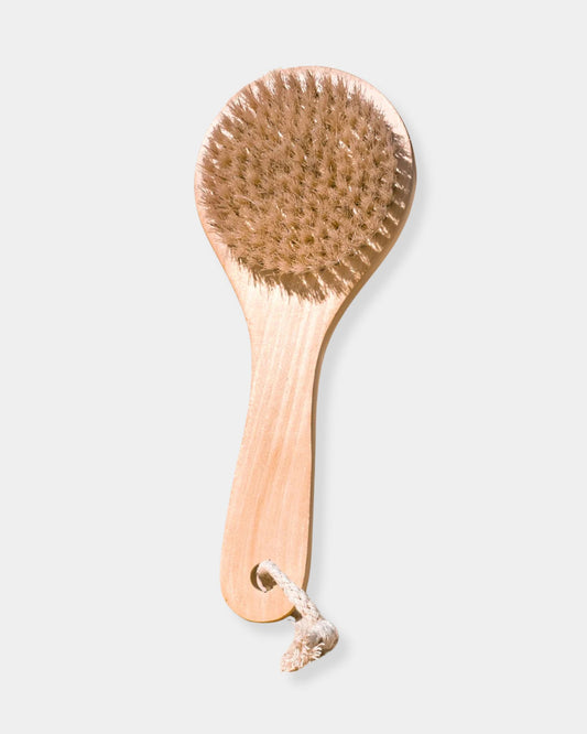 DRY BODY BRUSH