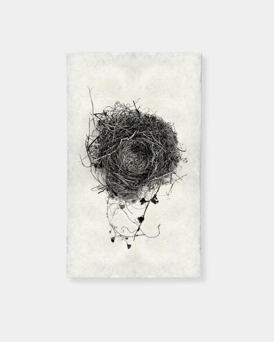 NEST STUDY #3 - PRINT