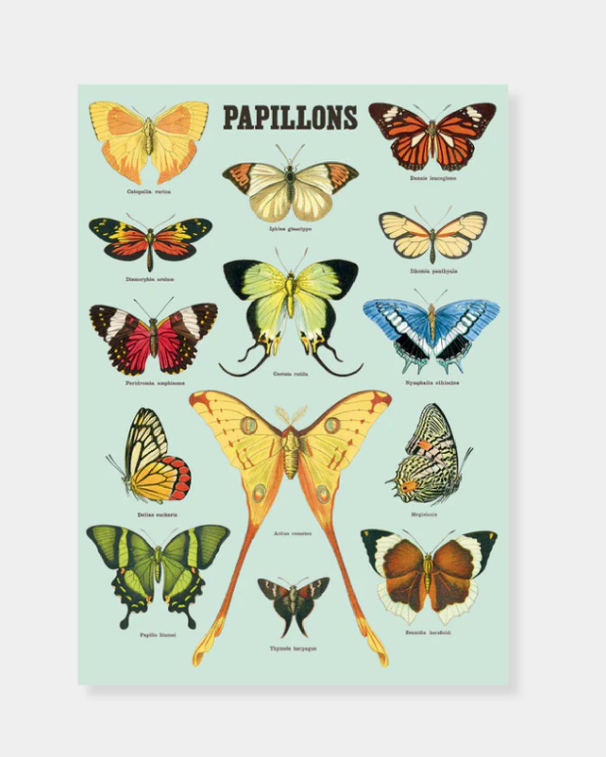 PAPILLONS - POSTER