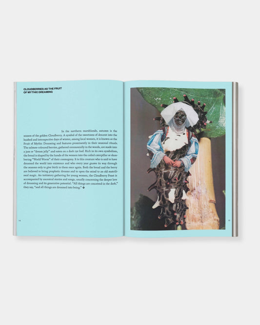 FRUIT OF MYTHIC DREAMING: IMAGINED FOLKLORE