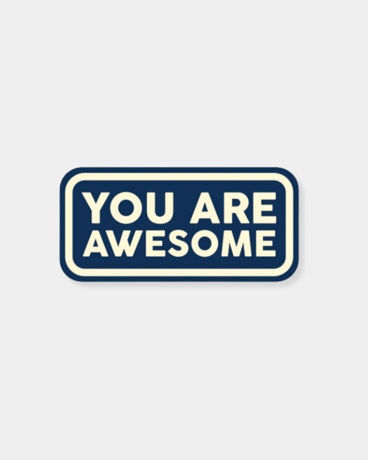 YOU ARE AWESOME - STICKER