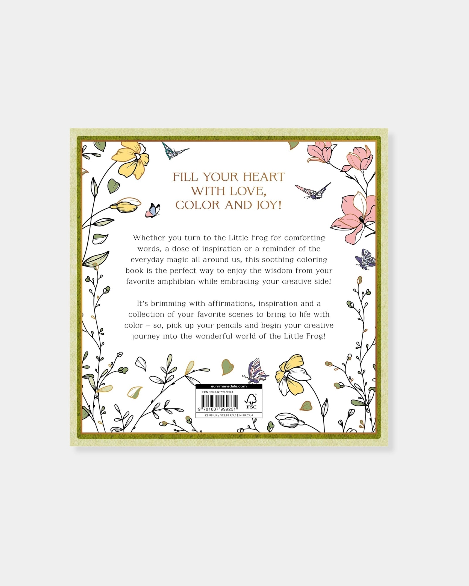 THE LITTLE FROG COLOURING BOOK