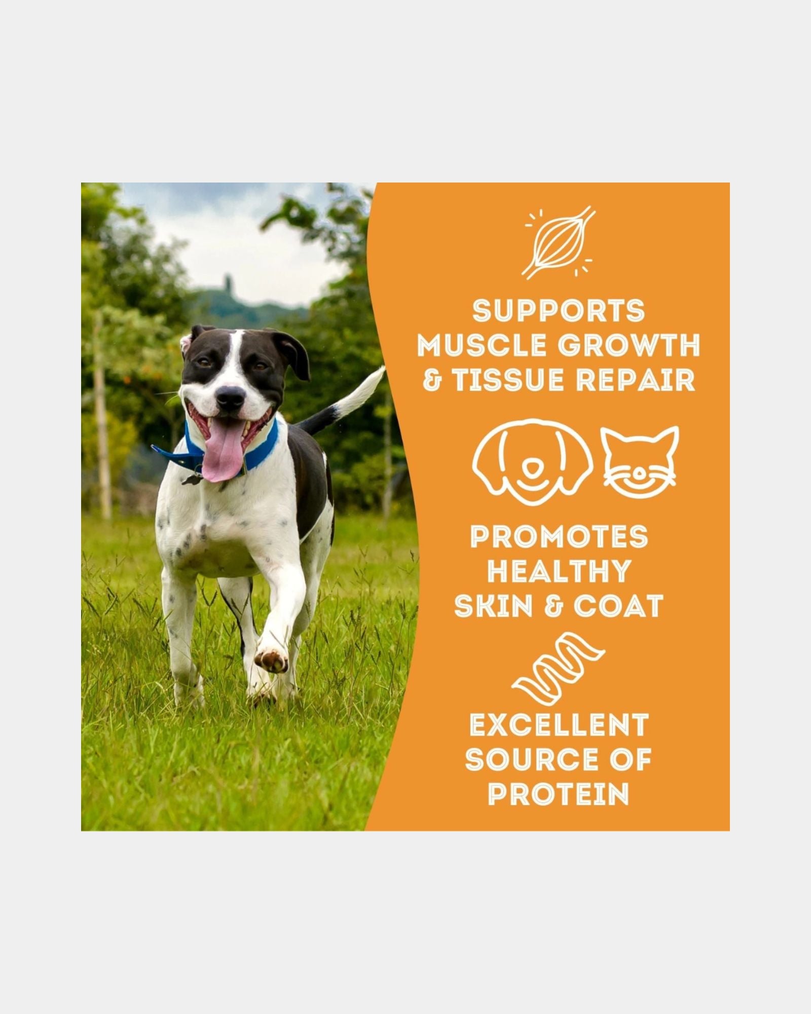 CHEESEBURGER CAT & DOG TREATS 175g