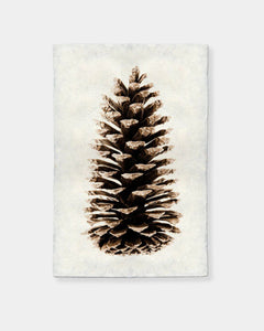 LOBLOLLY PINE - PRINT