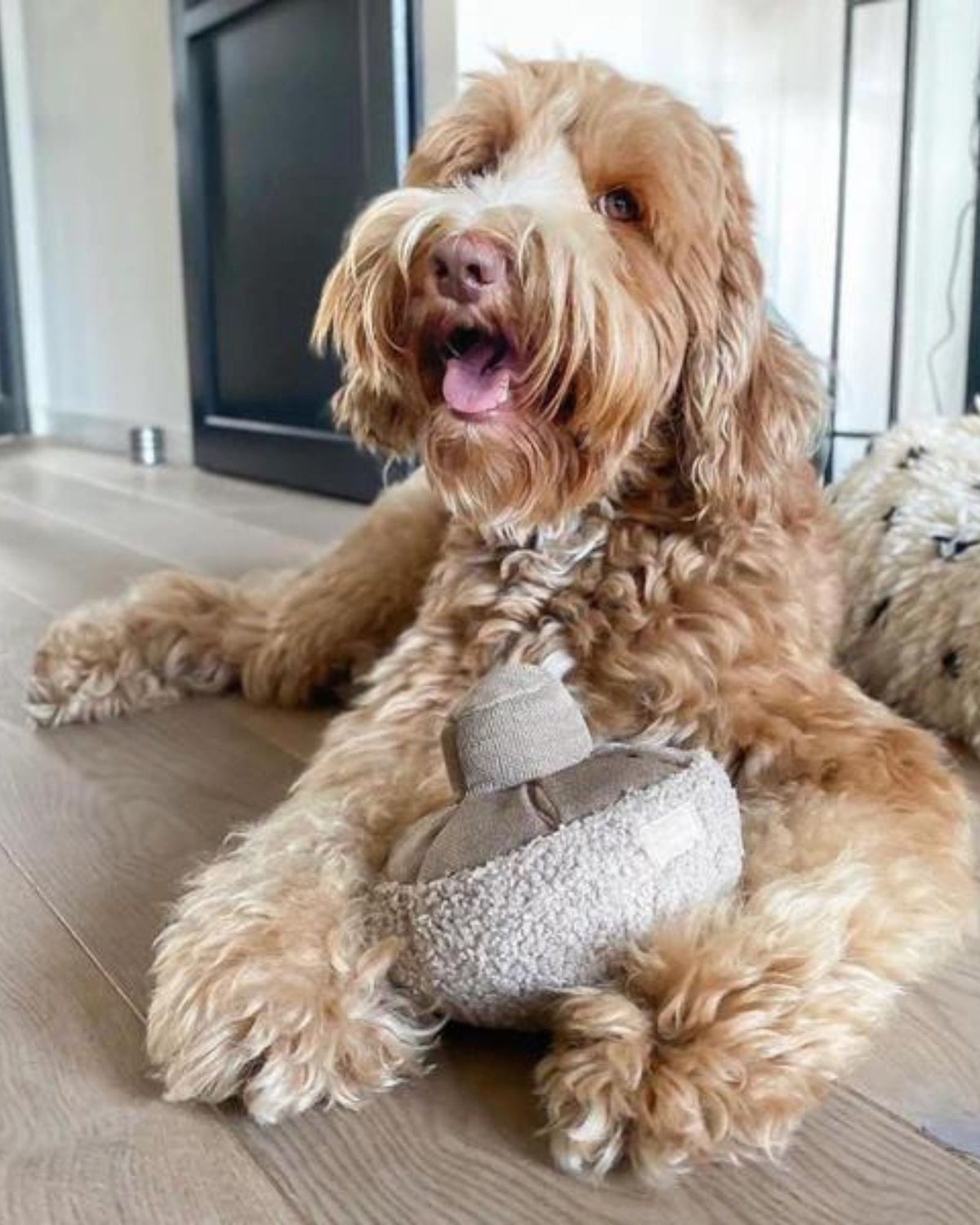 MUSHROOM - PET TOY