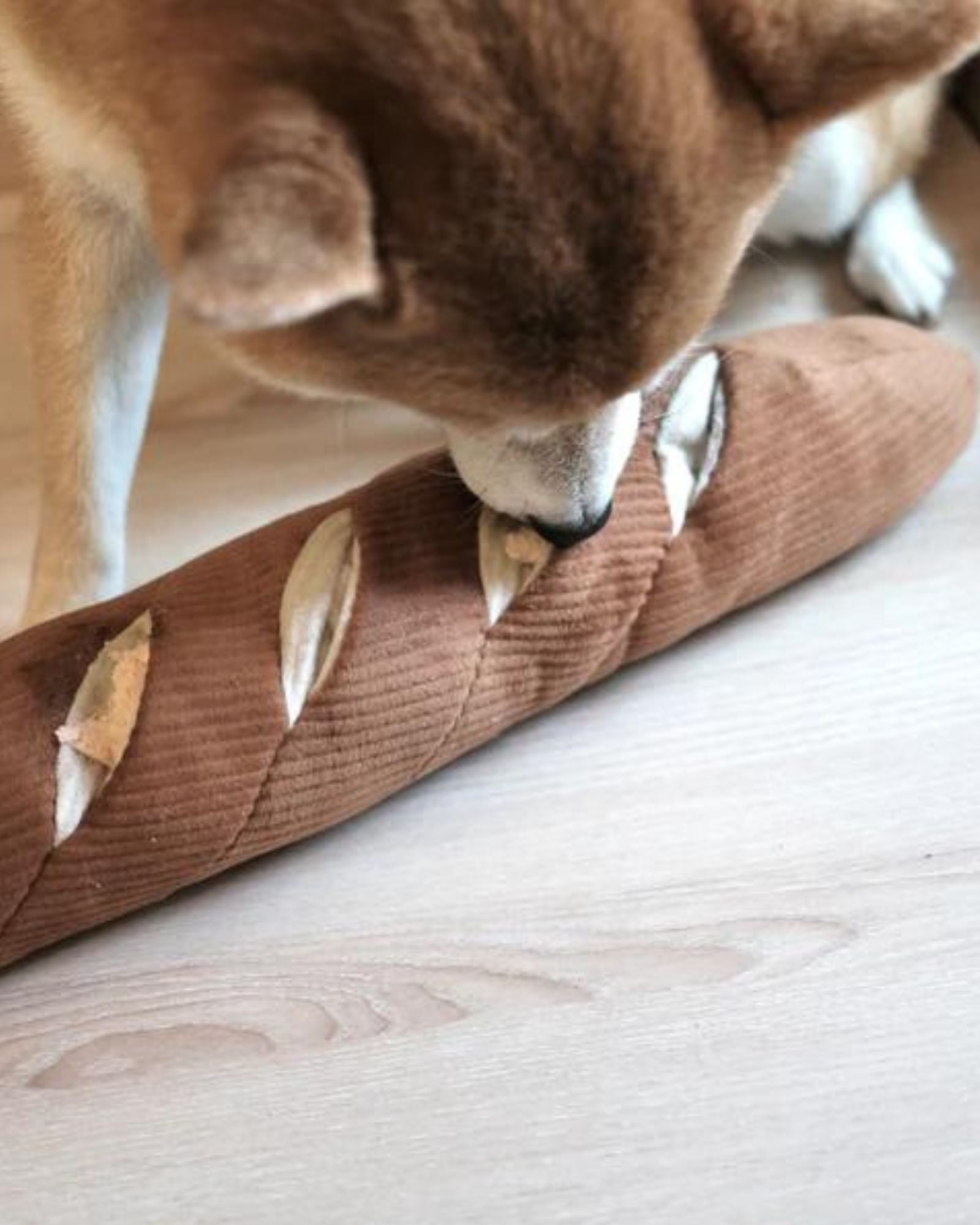 LARGE BAGUETTE - PET TOY