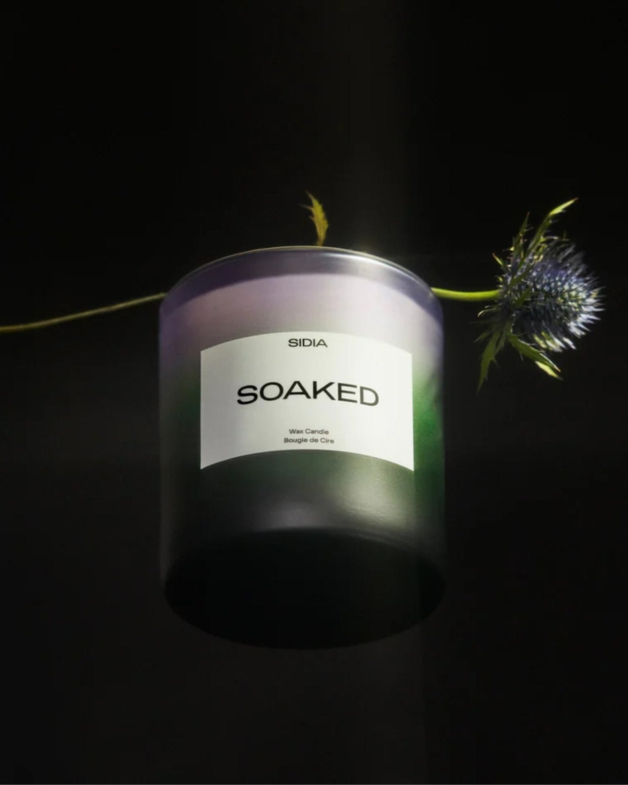 8oz CANDLE - SOAKED | Stonewaters