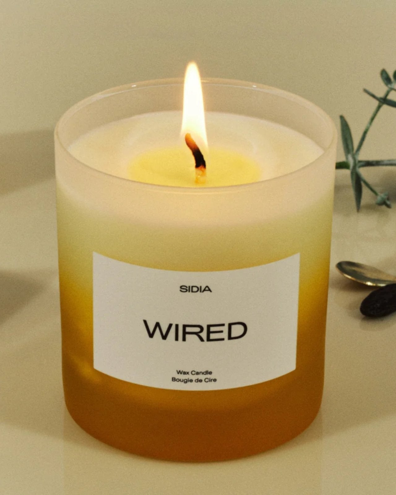 8oz CANDLE - WIRED | Stonewaters