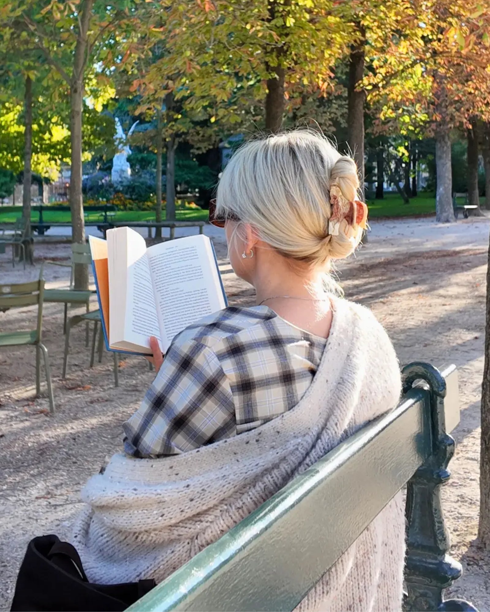 HORSE - CLAW HAIR CLIP