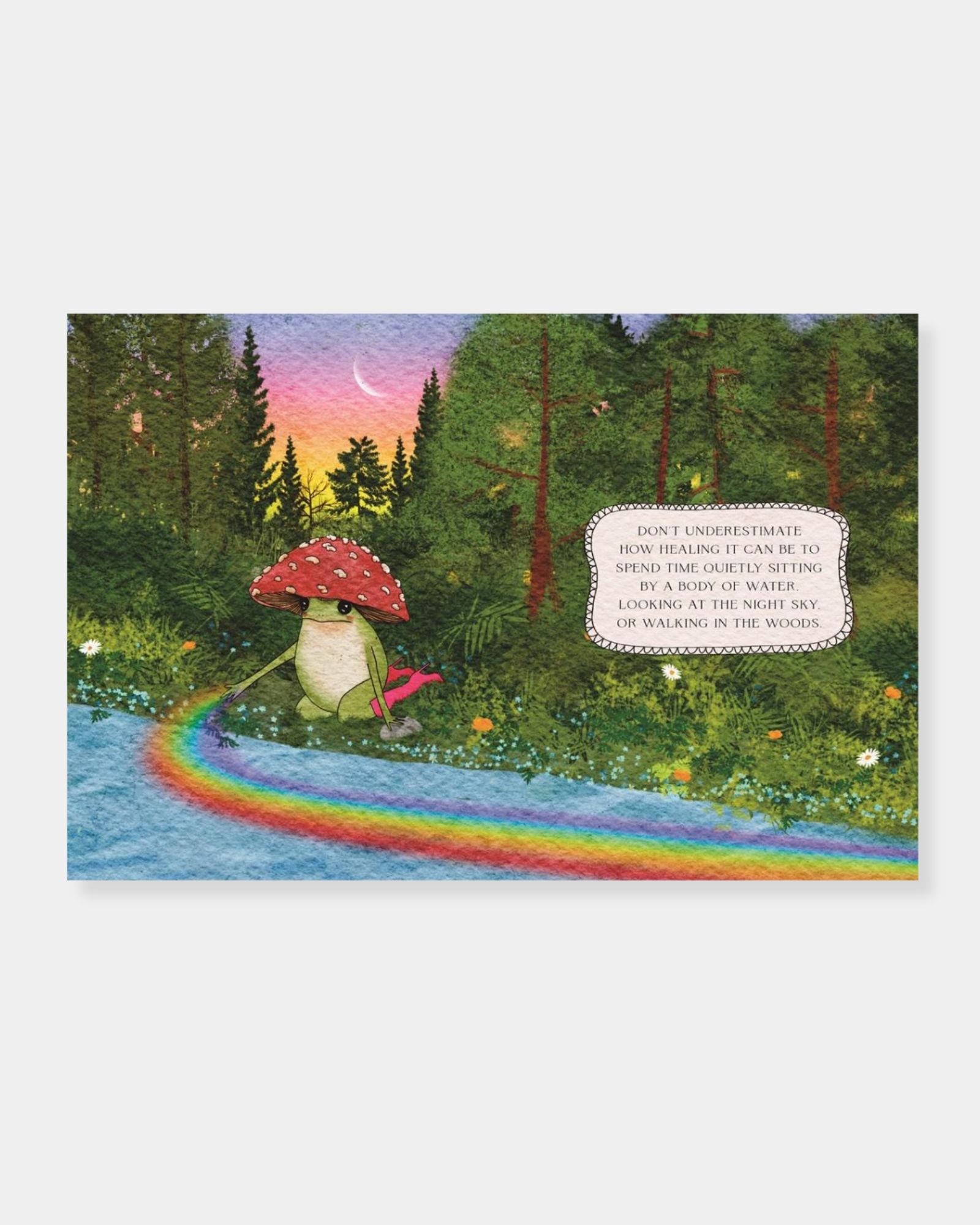 THE LITTLE FROG'S GUIDE TO LIFE