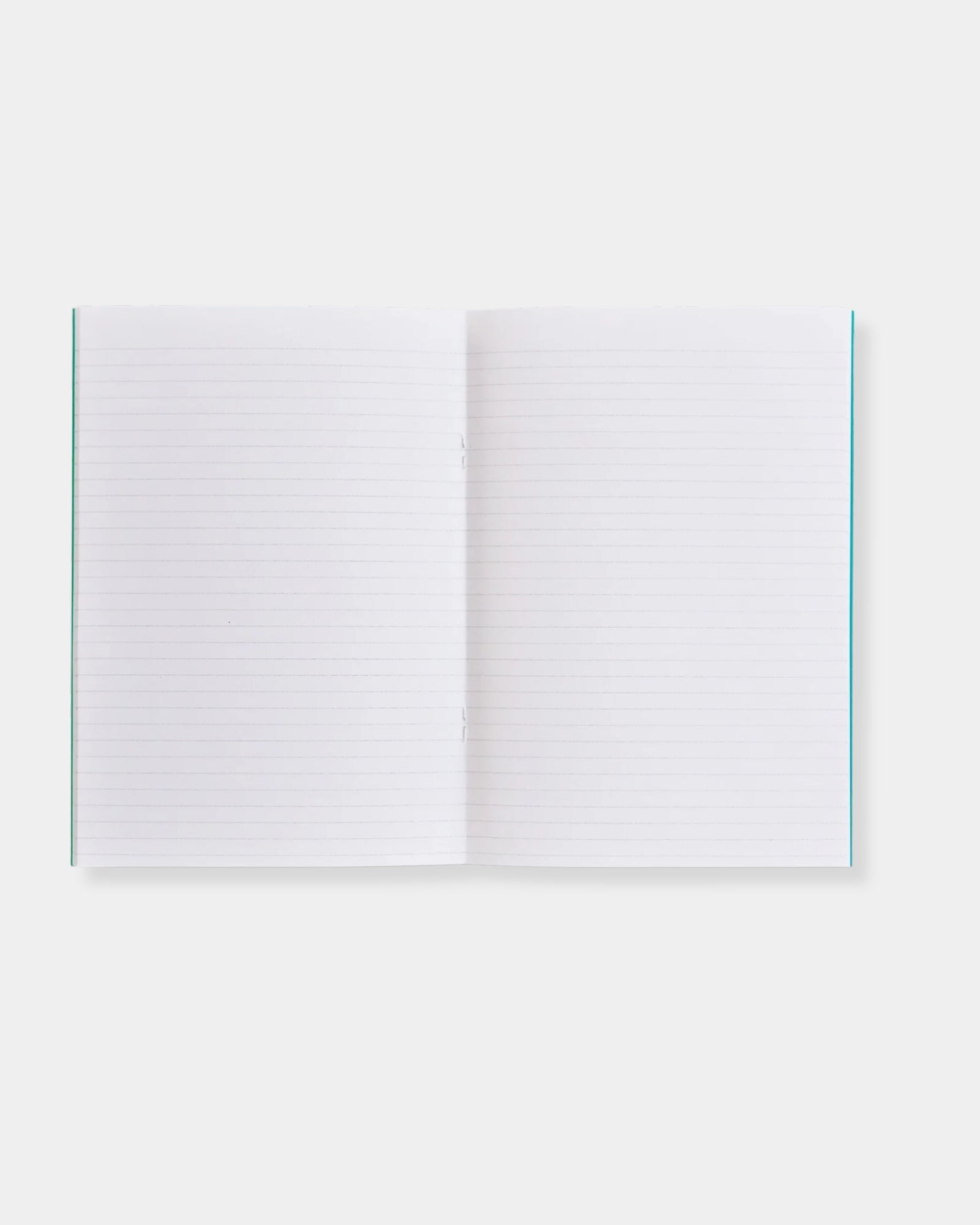 PALERMO SLIMELINE - LINED NOTEBOOK