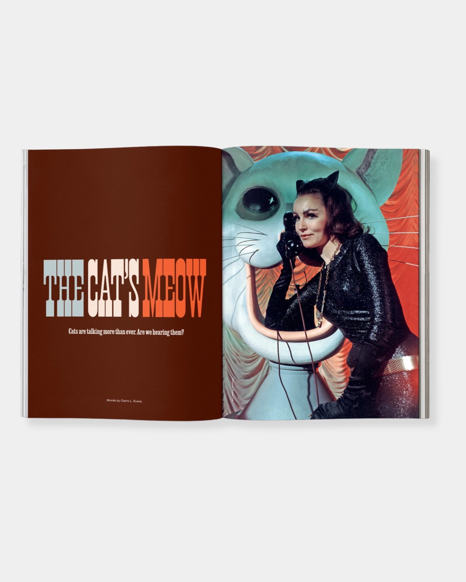 CATNIP MAGAZINE: VOLUME 2