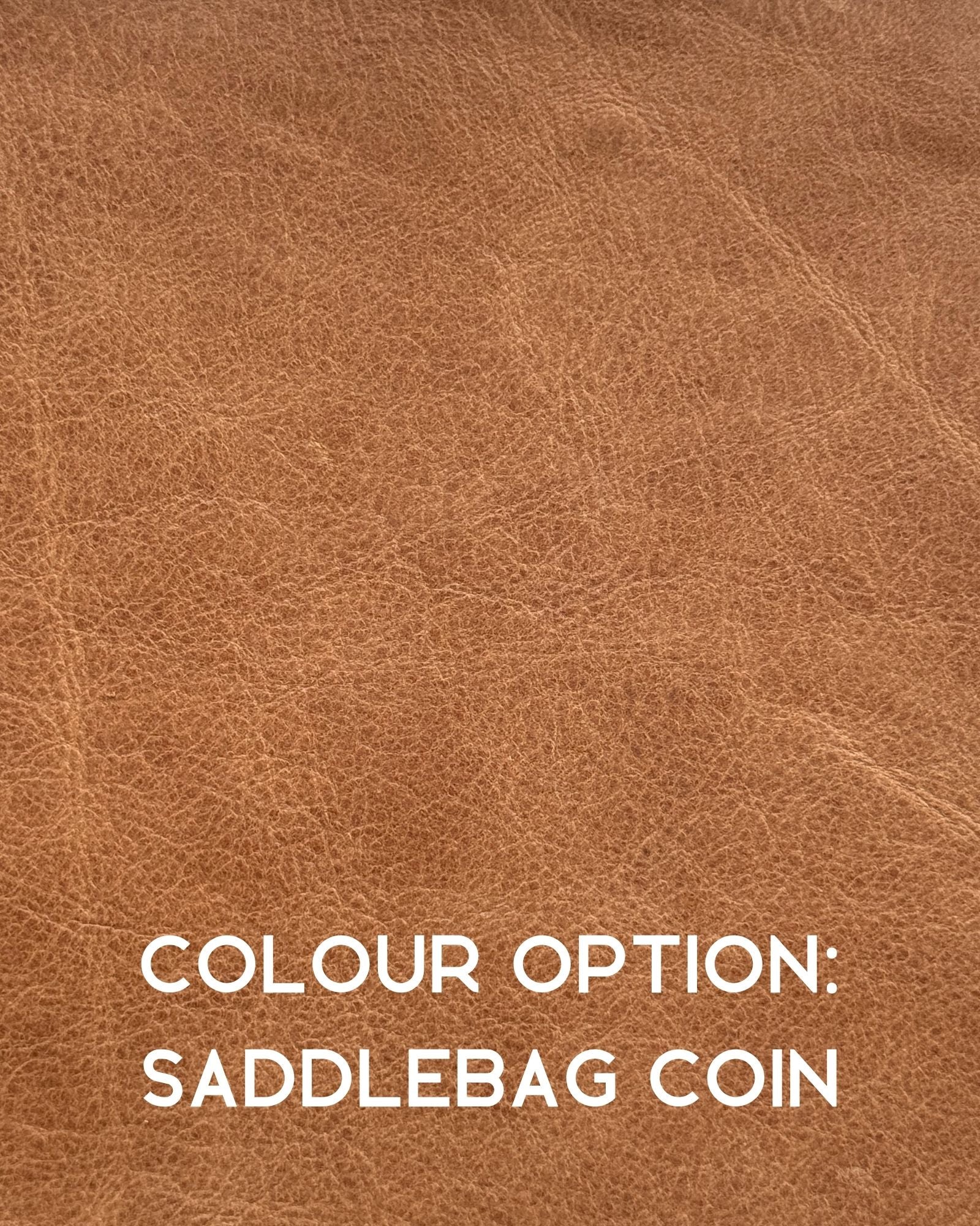 CARO SOFA - SADDLEBAG COIN