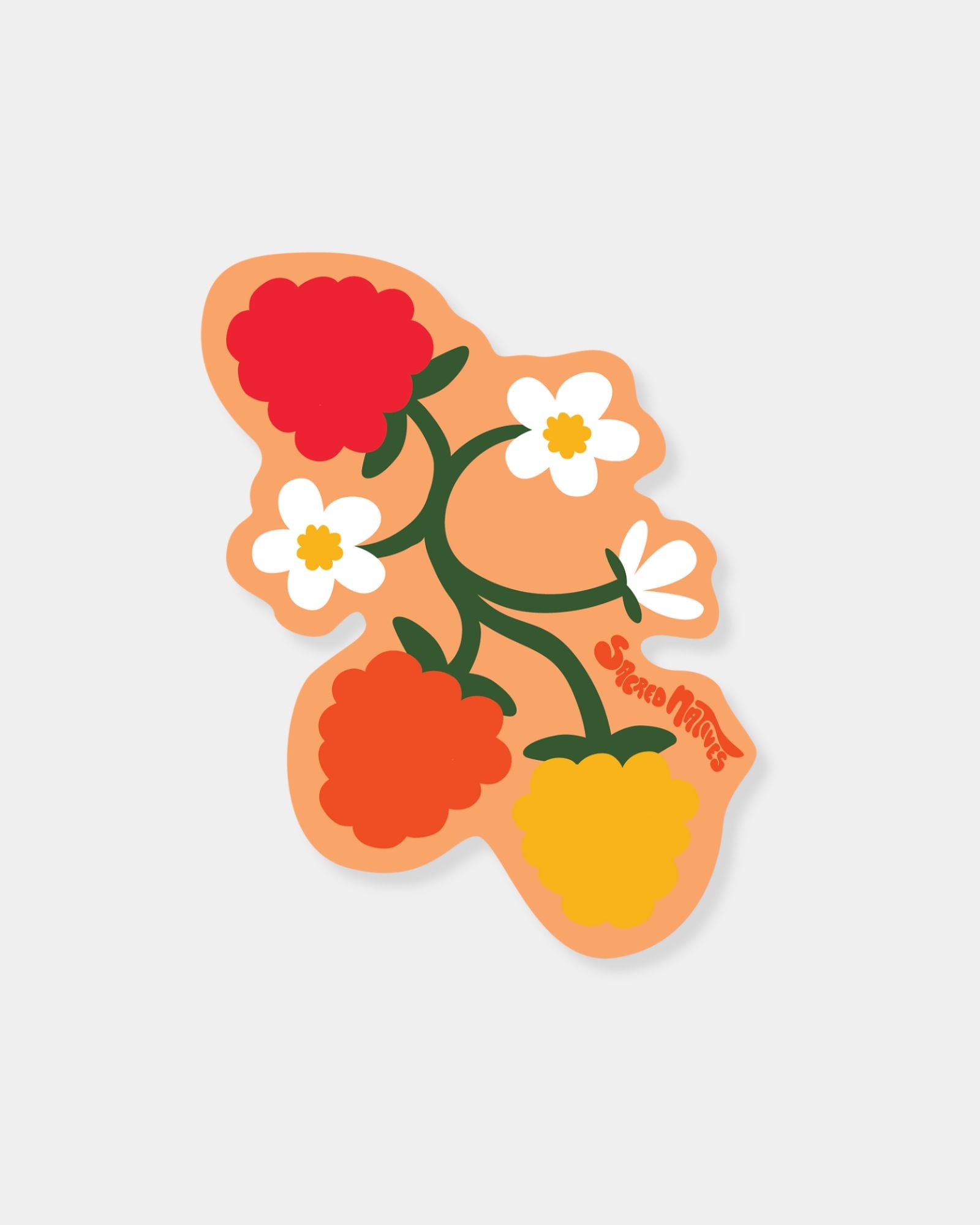 SALMONBERRY - STICKER