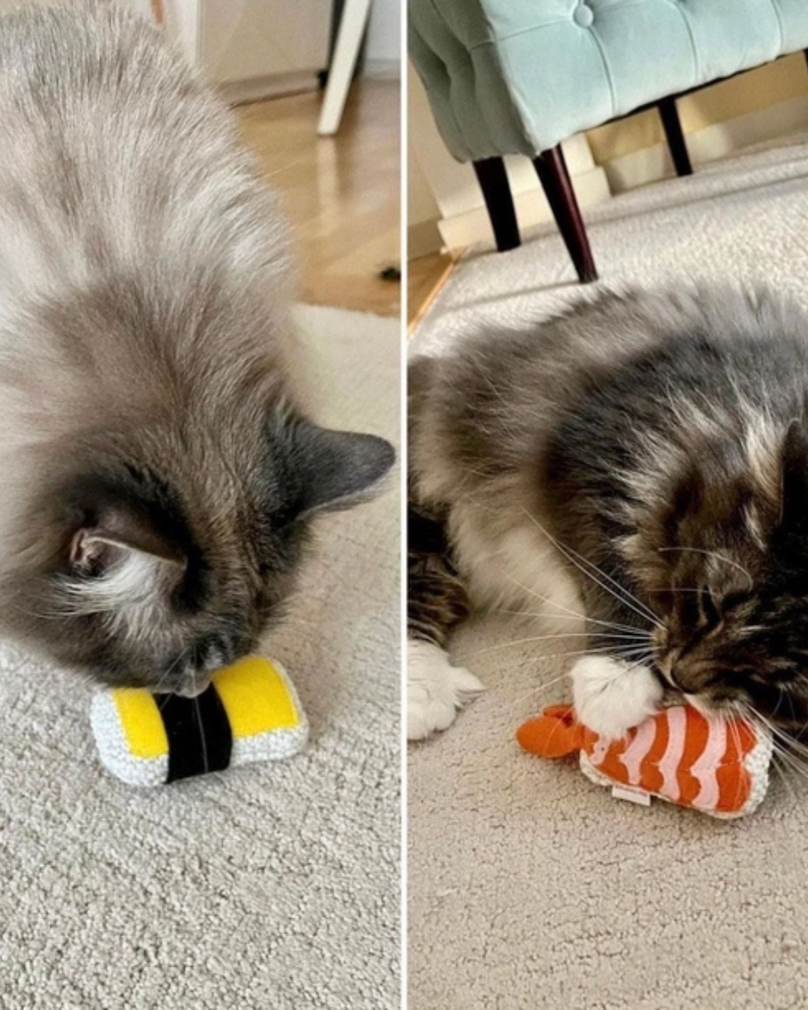 CATNIP SUSHI SET OF 2 - CAT TOY