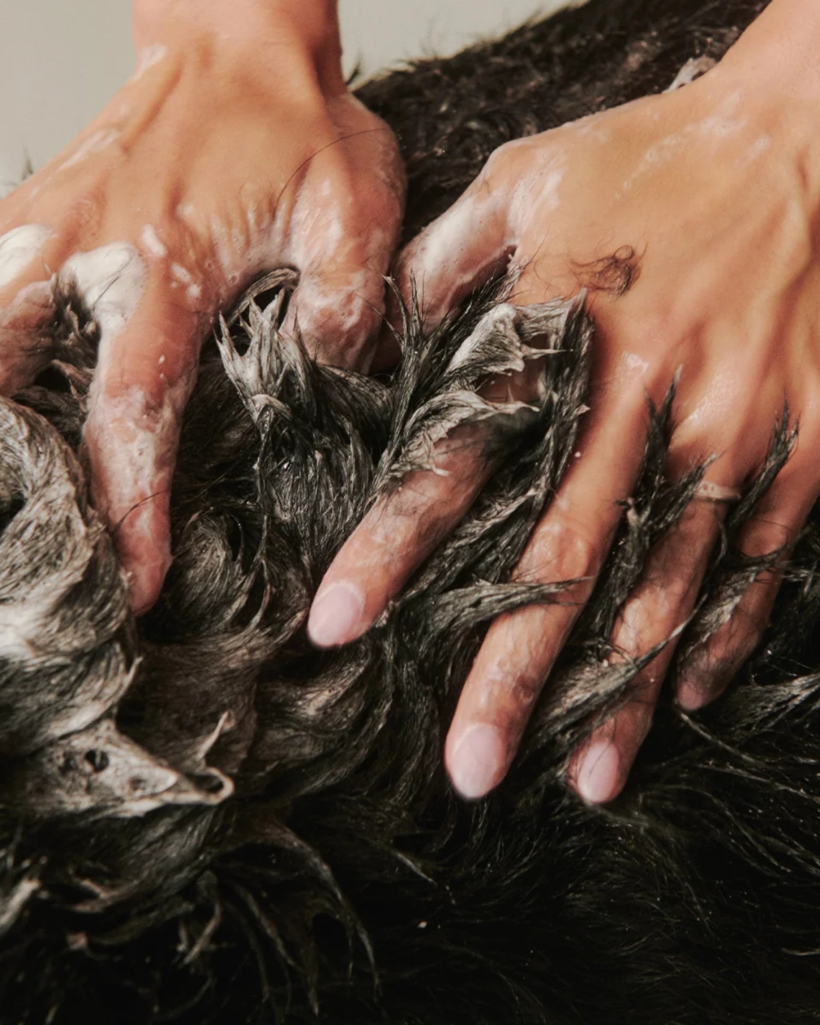 SOOTHE GENTLE DOG SHAMPOO