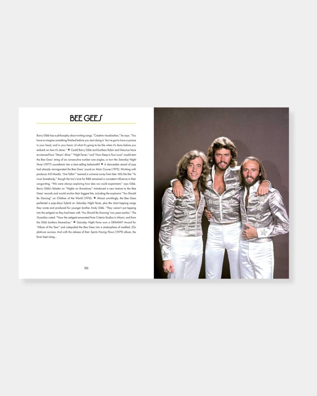 A NIGHT AT THE DISCO - BOOK | Stonewaters