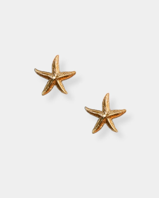 A STAR IS BORN - 18K GOLD PLATED EARRINGS | Stonewaters