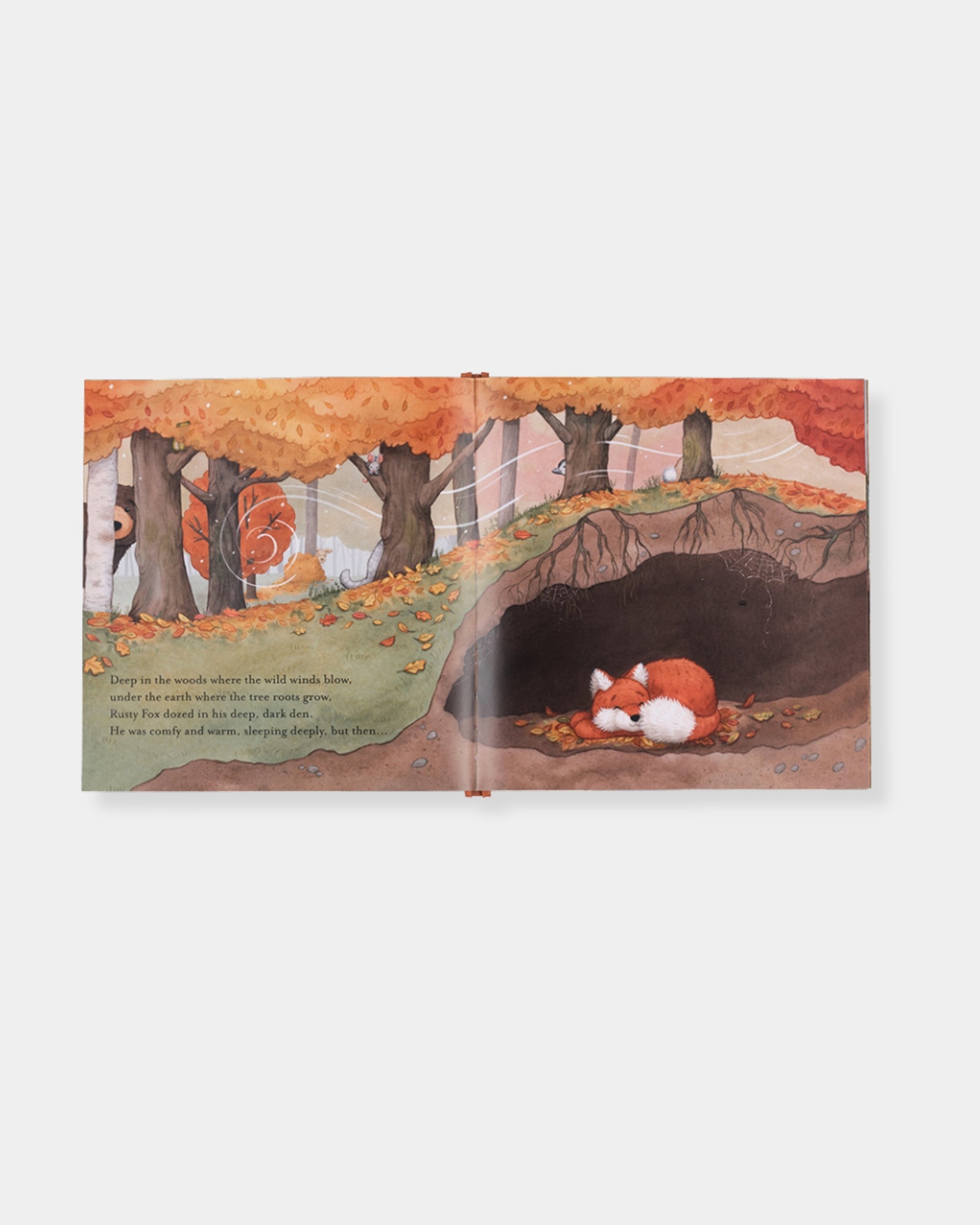 WARM IN THE STORM BOOK