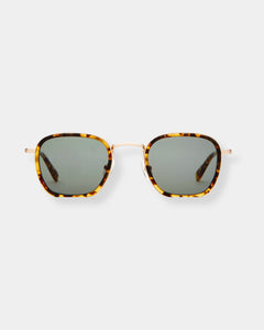 GROOVE PILOT TORTOISE - SUNGLASSES