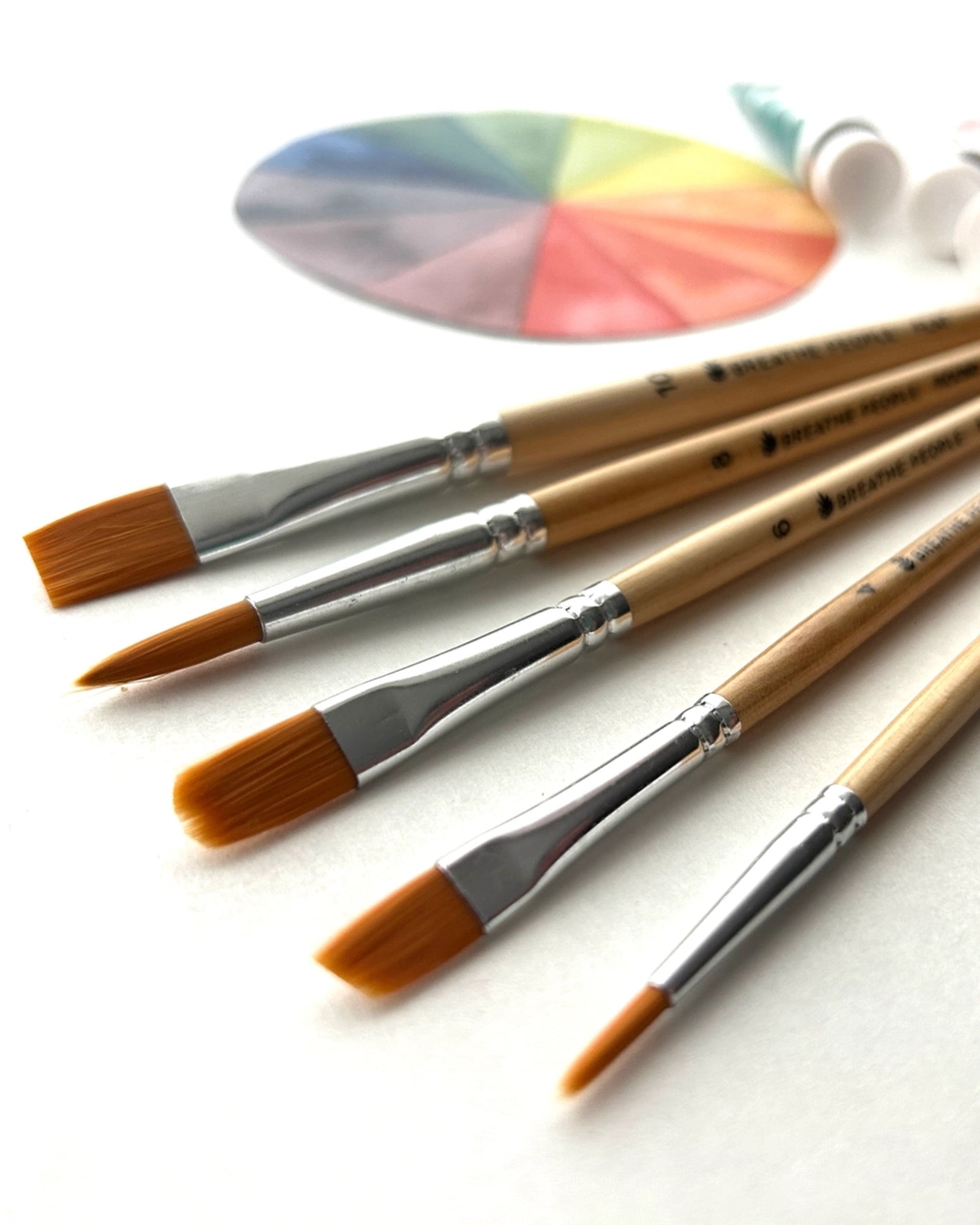 WATERCOLOUR 5 PIECE PAINT BRUSH SET